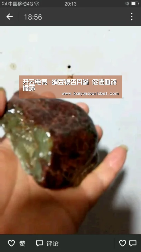 开云电竞-纳豆银杏丹参 促进血液循环(图1) 开云电竞