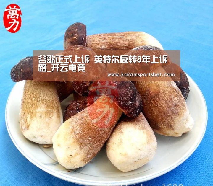 谷歌正式上诉 英特尔反转8年上诉路_开云电竞(图1) 开云真人