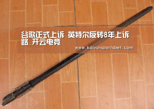 谷歌正式上诉 英特尔反转8年上诉路_开云电竞(图2) 开云真人