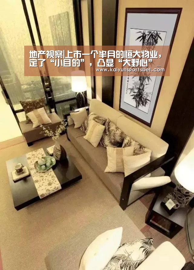 开云体验